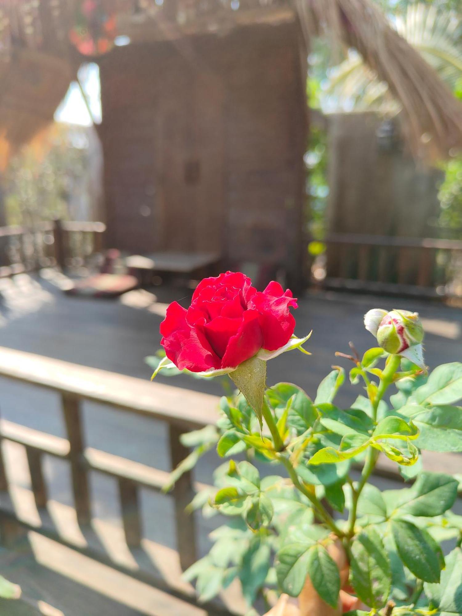 Smilingface Guesthouse Sukhothai Zewnętrze zdjęcie