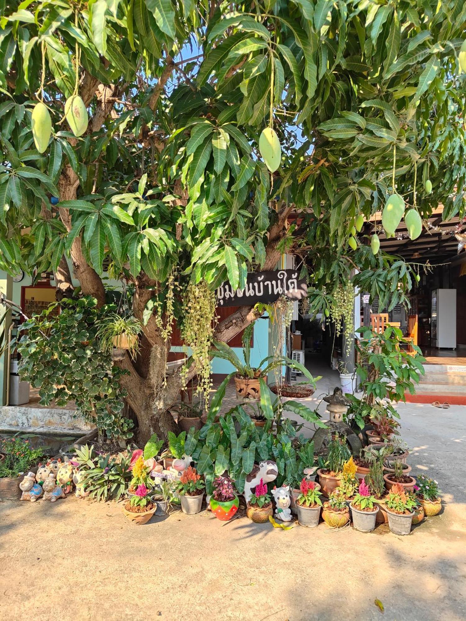 Smilingface Guesthouse Sukhothai Zewnętrze zdjęcie