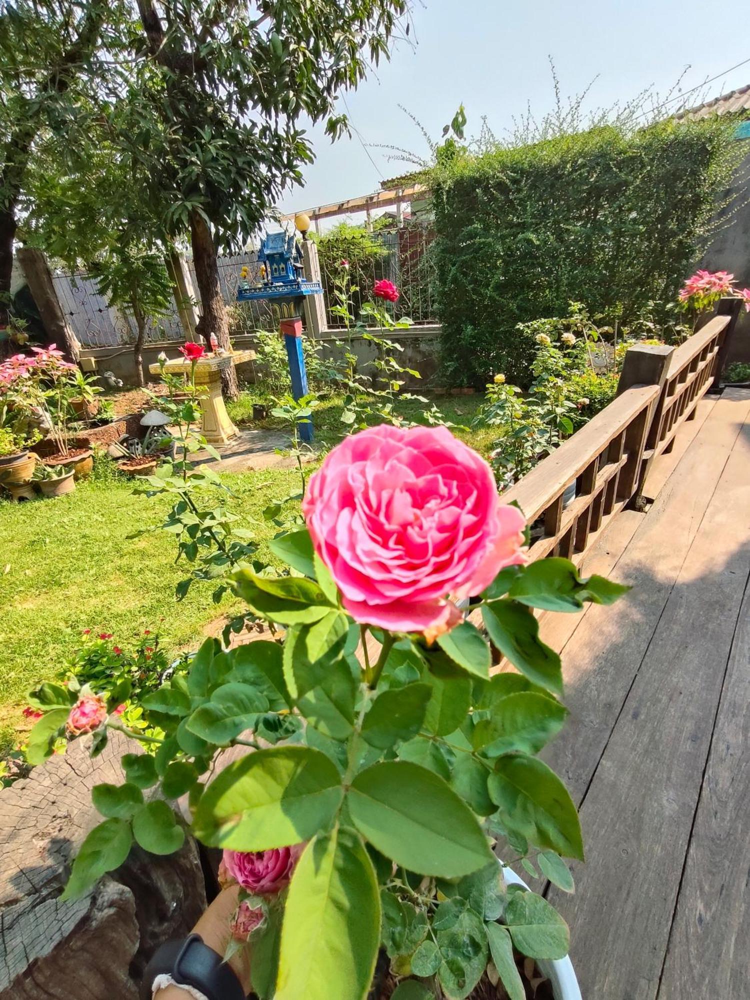 Smilingface Guesthouse Sukhothai Zewnętrze zdjęcie